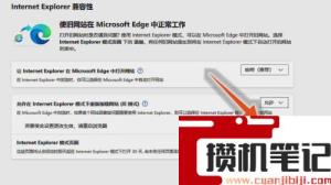 新版edge浏览器flash插件怎么启用