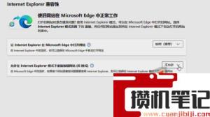 新版edge浏览器flash插件怎么启用