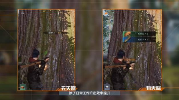 黎明觉醒采集没有经验了怎么解决