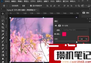 ps怎么给图片添加滤镜