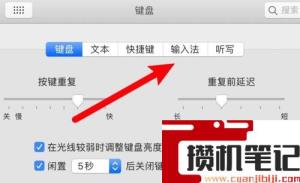 苹果电脑打不出来字怎么解决