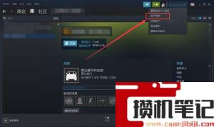 steam中您所处的国家地区不允许看到此内容怎么解决