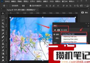 ps怎么给图片添加滤镜