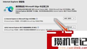 新版edge浏览器flash插件怎么启用