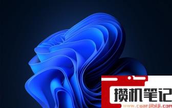 Win11不能参加预览体验计划怎么解决？Win11不能参加预览体验计划解决步骤
