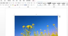Word怎样设置图片格式 Word怎样设置图片格式