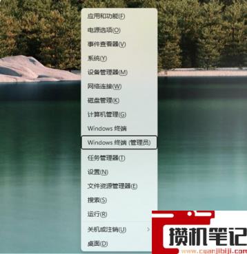 Win11应用商店还是旧版的怎么解决 Win11应用商店怎么更新到新版 Win11应用商店还是旧版的怎么解决 Win11应用商店怎么更新到新版