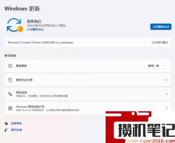 为什么没收到Win11 22449.1000更新 怎么才能收到22449.1000更新