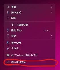 Win11怎么打开nvidia控制面板 Win11怎么打开nvidia控制面板