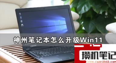 神州笔记本怎么升级Win11 神舟电脑升级Win11详细方法