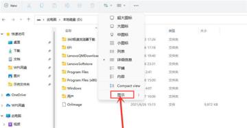 Win11隐藏文件显示方法