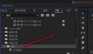 Premiere怎么不等比例缩放视频 Premiere怎么不等比例缩放视频