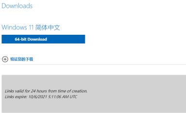 Win11正式版安装方法图解 Win11正式版最全安装方法 Win11正式版安装方法图解 Win11正式版最全安装方法