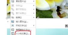 word图片怎么设置统一大小 word图片怎么设置统一大小