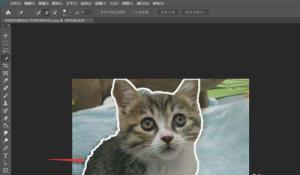 万兴喵影filmora怎么制作人物描边定格?万兴喵影filmora制作人物描边方法 万兴喵影filmora怎么制作人物描边定格?万兴喵影filmora制作人物描边方法