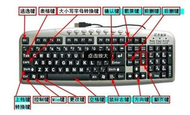 电脑无线键盘鼠标失灵怎么解决 win11系统无线键盘鼠标失灵的解决步骤