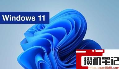 解决Win11 22449 bug的几种方法介绍 解决Win11 22449 bug的几种方法介绍
