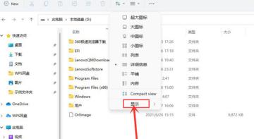 Win11如何查看隐藏项目 Win11如何查看隐藏项目