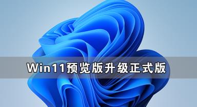 Win11预览版怎么升级正式版 Win11预览版升级正式版方法 Win11预览版怎么升级正式版 Win11预览版升级正式版方法