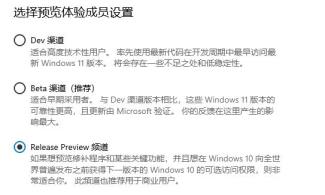 Windows11选dev渠道还是beta渠道 Windows11选dev渠道还是beta渠道