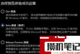 Win11渠道选哪个好?Win11预览体验计划通道选哪个好? Win11渠道选哪个好?Win11预览体验计划通道选哪个好?