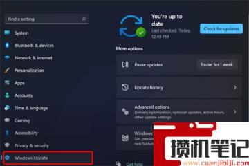 Win11资源管理器不停的崩溃怎么解决?Win11资源管理器崩溃解决步骤 Win11资源管理器不停的崩溃怎么解决?Win11资源管理器崩溃解决步骤