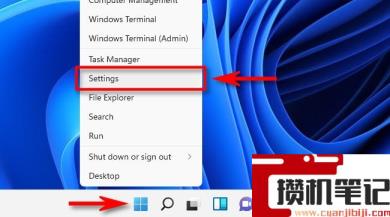 怎么更改Windows11鼠标指针大小和样式？