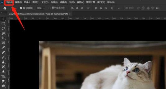 ps如何切换条件模式 ps如何切换条件模式