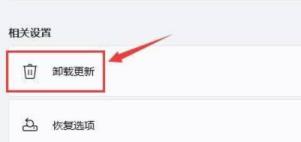 Win11突然黑屏怎么解决 Win11突然黑屏怎么解决