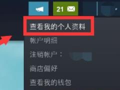 steam怎么删除动态 steam怎么删除动态