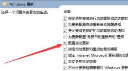 win10怎么永久关闭自动更新 win10怎么永久关闭自动更新