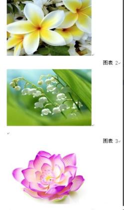word图片怎么设置统一大小