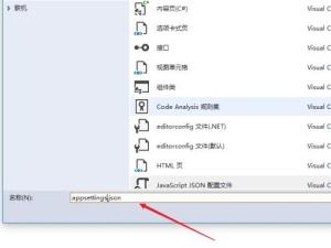 Visual Studio 2019如何创建JSON文件