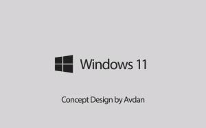 Windows11黑屏闪烁怎么解决