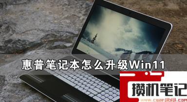 惠普笔记本怎么升级Win11 惠普笔记本升级Win11详细方法