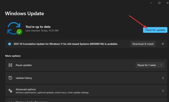 Windows11的触摸屏不工作 Windows11的触摸屏不工作