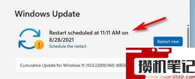 怎么在Windows 11上为Windows更新安排重新启动？