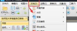 轻快PDF阅读器pdf文档怎么添加水印 轻快PDF阅读器pdf文档怎么添加水印