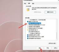 Win11怎么显示文件后缀名 Win11怎么显示文件后缀名