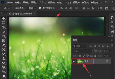 ps怎么将图片添加波纹滤镜效果 ps怎么将图片添加波纹滤镜效果