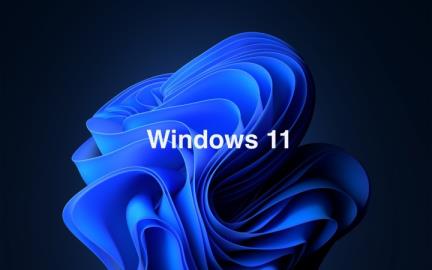 没有TPM的电脑能装Win11吗 没有TPM的电脑怎么安装Win11 没有TPM的电脑能装Win11吗 没有TPM的电脑怎么安装Win11