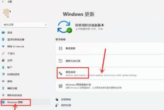 Windows11怎么开启传递优化功能 Windows11怎么开启传递优化功能