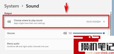 怎么在Windows 11中为音频输出选择扬声器？