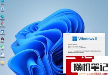 Win11应用商店还是旧版的怎么解决 Win11应用商店怎么更新到新版 Win11应用商店还是旧版的怎么解决 Win11应用商店怎么更新到新版