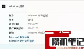 为什么没收到Win11 22449.1000更新 怎么才能收到22449.1000更新