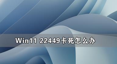 Win11 22449卡死怎么解决 Win11 22449卡死怎么解决