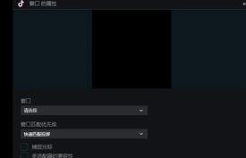 抖音直播伴侣窗口怎么设置 抖音直播伴侣窗口怎么设置