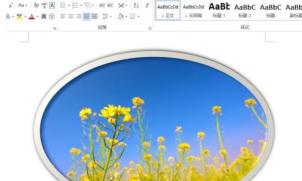 Word怎样设置图片格式 Word怎样设置图片格式
