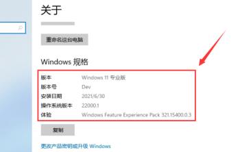 Win11系统如何查看自己的版号 Win11系统如何查看自己的版号