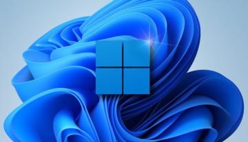 Win11如何查看隐藏项目 Win11如何查看隐藏项目